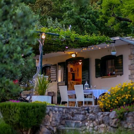 באסקה וודה Holiday Home Oaza מראה חיצוני תמונה