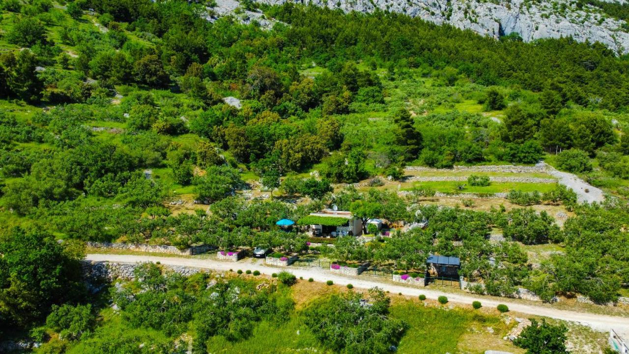 באסקה וודה Holiday Home Oaza מראה חיצוני תמונה