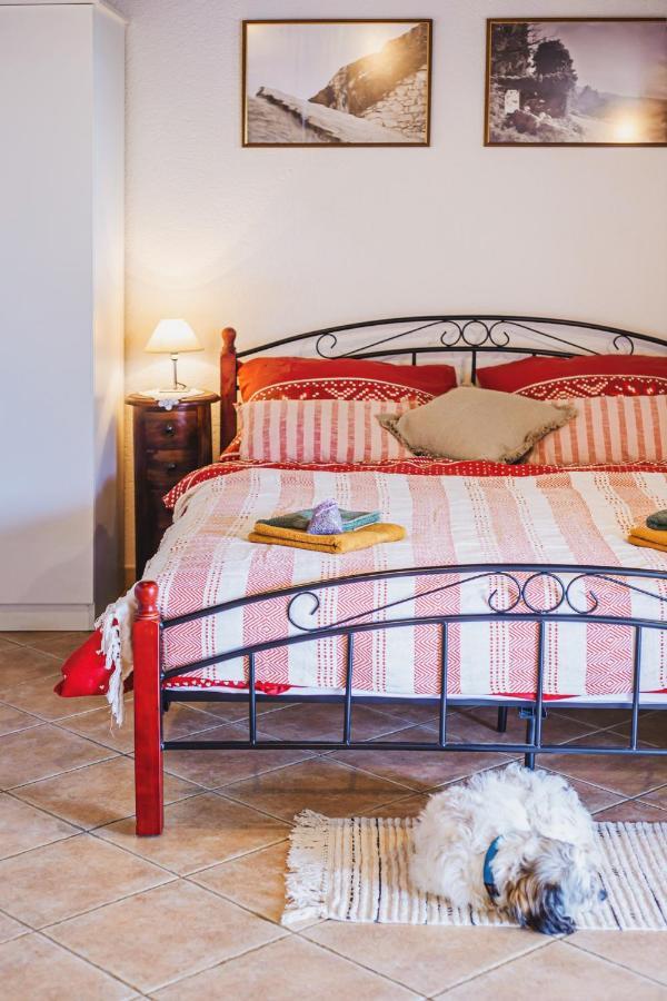 באסקה וודה Holiday Home Oaza מראה חיצוני תמונה